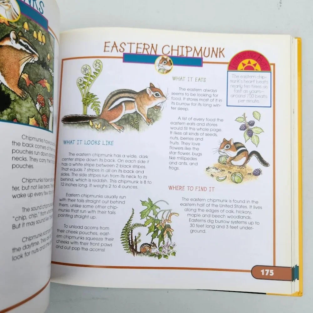 More Fun With Nature Take Along Guides Field Guide Hardcover Book Activity Craft